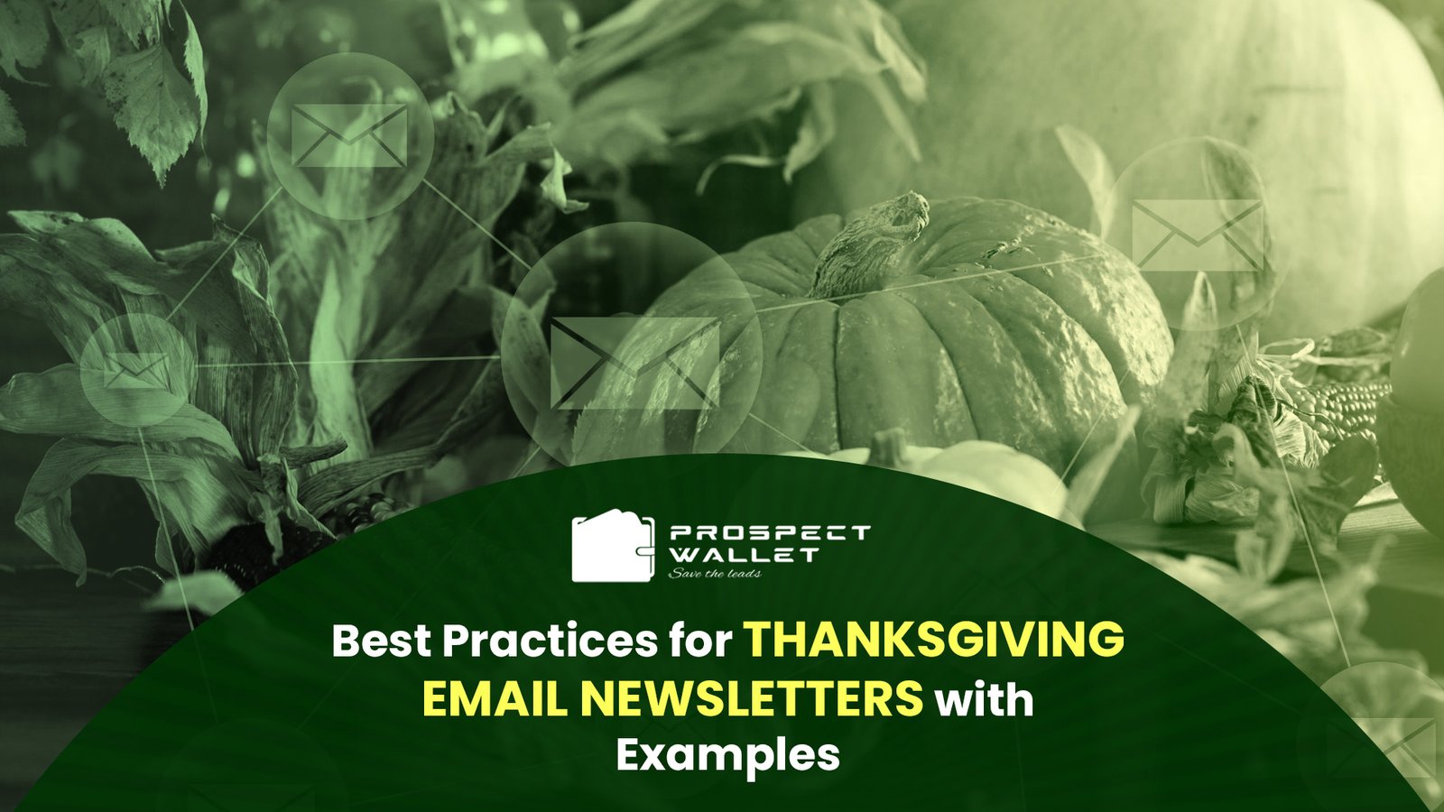 Best Practices for Thanksgiving Email Newsletters with Examples Image
